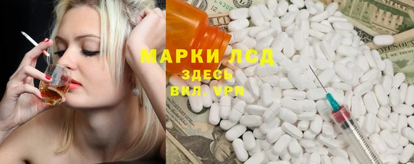 стафф Каменка