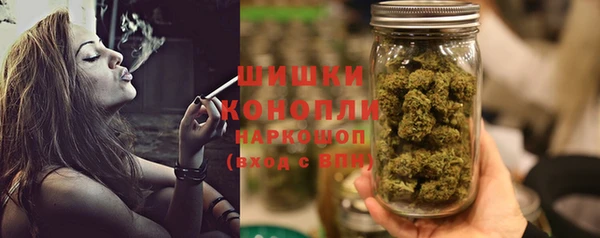 стафф Каменка