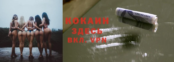 стафф Каменка