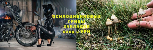 стафф Каменка