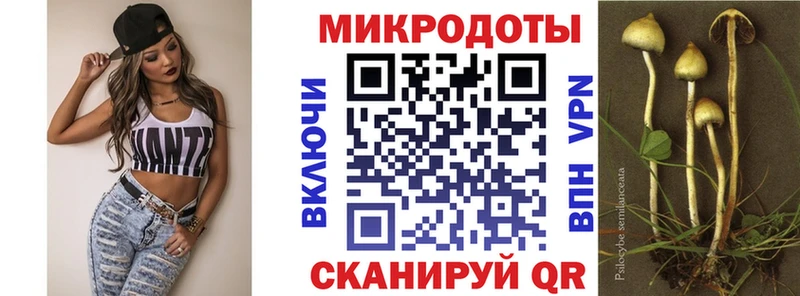 Галлюциногенные грибы Magic Shrooms  Купить  Дедовск 