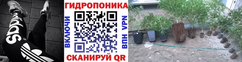 Купить где  Дедовск  Канабис OG Kush 